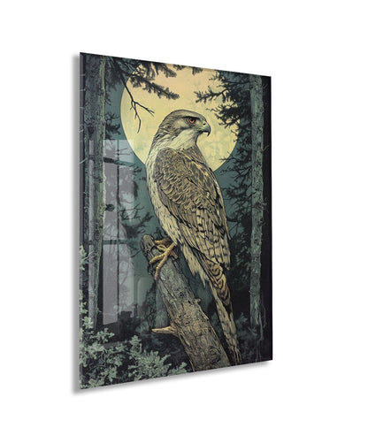 Gece Ormanında Yırtıcı Kuş Poster – Doğa ve Vahşi Yaşam Dekoru - Peony114