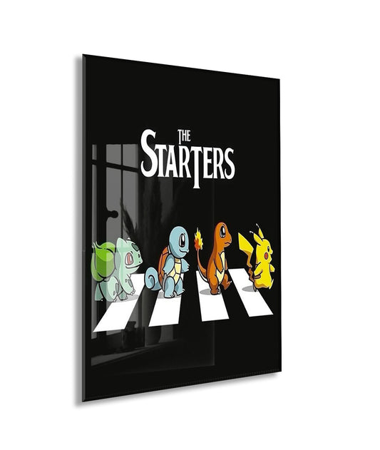 Pokemon The Starters Cam Tablo – Gamer ve Genç Odası Dekoru - Peony099