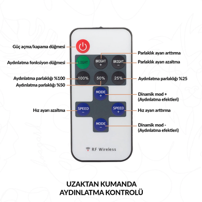 Kırmızı Spor Otomobil UV Baskı Neon Tablo | Pleksi LED Duvar Dekoru | Lüks Otomobil Arka Stop Tasarımı